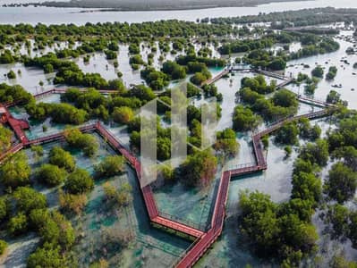 Plot for Sale in Al Hudayriat Island, Abu Dhabi - Wadeem1. jpg