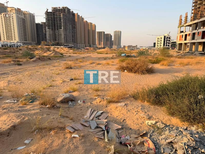 6 WhatsApp Image 2026-08-24 at 7.24. 09 PM. jpeg