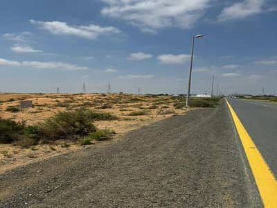 Plot for Sale in Al Zubair, Sharjah - WhatsApp Image 2026-04-01 at 6.00. 45 AM. jpeg