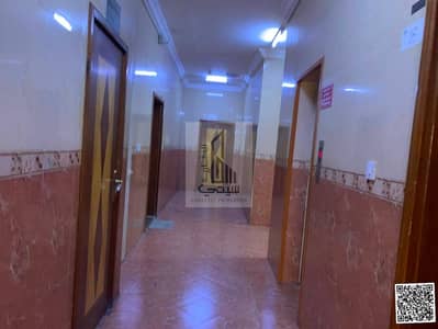 2 Bedroom Apartment for Rent in Al Rawda, Ajman - WhatsApp Image 2026-08-24 at 12.14. 36 PM. jpeg 2 Bedroom Apartment for Rent in Al Rawda, Ajman - WhatsApp Image 2026-08-24 at 12.14. 36 PM. jpeg