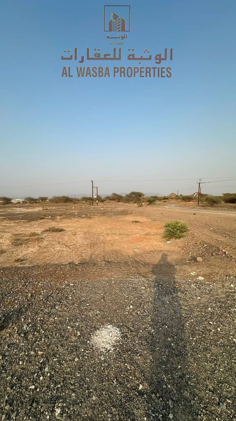 4 WhatsApp Image 2026-08-25 at 11.38. 53 AM. jpeg