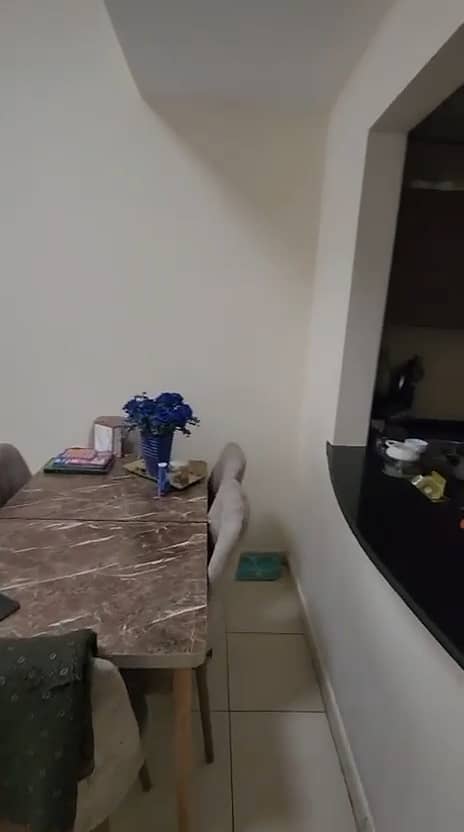 13 WhatsApp Image 2026-08-25 at 3.10. 15 PM. jpeg