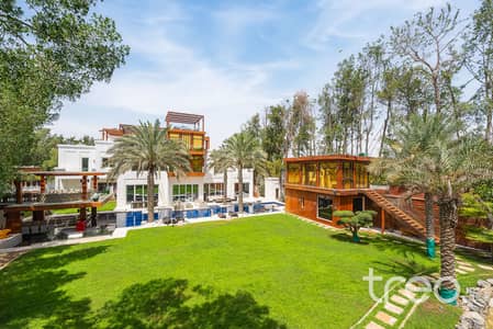 10+ Schlafzimmer Villa zum zur Miete in Al Barari, Dubai - big garden shot better. jpg 10+ Schlafzimmer Villa zum zur Miete in Al Barari, Dubai - big garden shot better. jpg