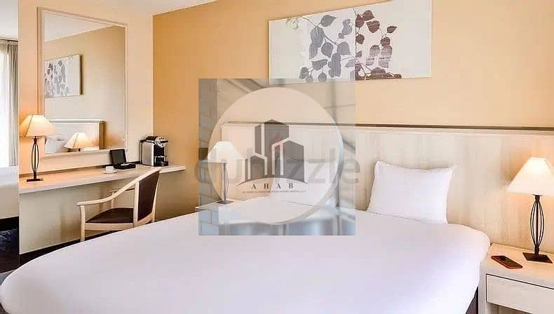 Spacious Beautiful Fully Furnished Studio With Kitchen Spacious Beautiful Fully Furnished Studio With Kitchen