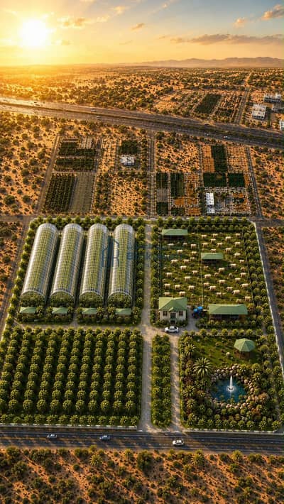 Mixed Use Land zum zur Miete in Al Dhaid, Sharjah - af1af488-f2d3-4b51-b4cc-f5216eccaf45_0BF87F11-3662-468E-9AA1-DFBE988FF901. jpg Mixed Use Land zum zur Miete in Al Dhaid, Sharjah - af1af488-f2d3-4b51-b4cc-f5216eccaf45_0BF87F11-3662-468E-9AA1-DFBE988FF901. jpg
