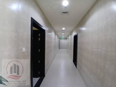 Building te Koop in Al Alia, Ajman - WhatsApp Image 2026-08-22 at 8.09. 00 PM (1). jpeg