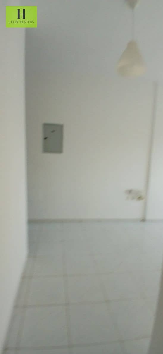3 20260824_175242. jpg