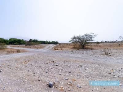 Plot para en Venta en Al Salihia, Ras Al Khaimah - Parcela en Al Salihia, 6900000 AED - 16296986