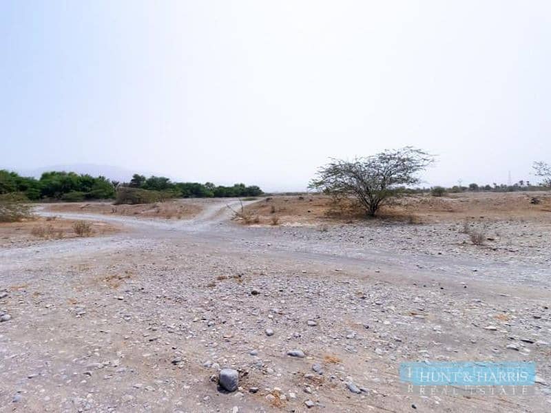 GCC National Only - Al Salhieh - Access E611 - Agriculture Land GCC National Only - Al Salhieh - Access E611 - Agriculture Land