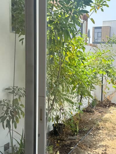 3 Bedroom Townhouse for Rent in Mudon, Dubai - WhatsApp Image 2026-08-25 at 1.29. 07 PM (1). jpeg