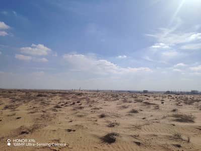 Plot in vendita a Al Maliha, Sharjah - WhatsApp Image 2026-08-17 at 00.10. 50. jpeg Plot in vendita a Al Maliha, Sharjah - WhatsApp Image 2026-08-17 at 00.10. 50. jpeg