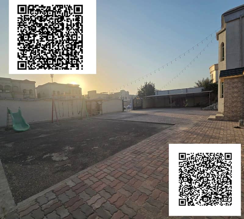 4 1000137978. jpg