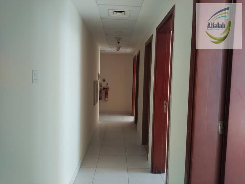 13 WhatsApp Image 2026-02-11 at 6.54. 38 PM (1). jpeg