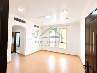 Studio te Huur in Al Mushrif, Abu Dhabi - 290838. jpg