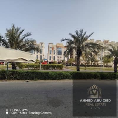 2 Bedroom Flat for Rent in Al Yasmeen, Ajman - WhatsApp Image 2026-08-24 at 12.20. 34 PM (2). jpeg 2 Bedroom Flat for Rent in Al Yasmeen, Ajman - WhatsApp Image 2026-08-24 at 12.20. 34 PM (2). jpeg