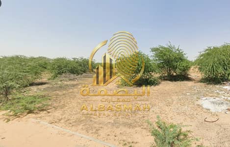Industrial Land for Sale in Al Hamriyah, Sharjah - لقطة الشاشة 2026-06-04 101258. png
