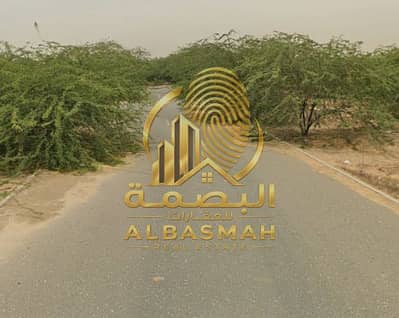 Industrial Land para en Venta en Al Hamriyah, Sharjah - لقطة شاشة 2026-04-12 105124. png Industrial Land para en Venta en Al Hamriyah, Sharjah - لقطة شاشة 2026-04-12 105124. png