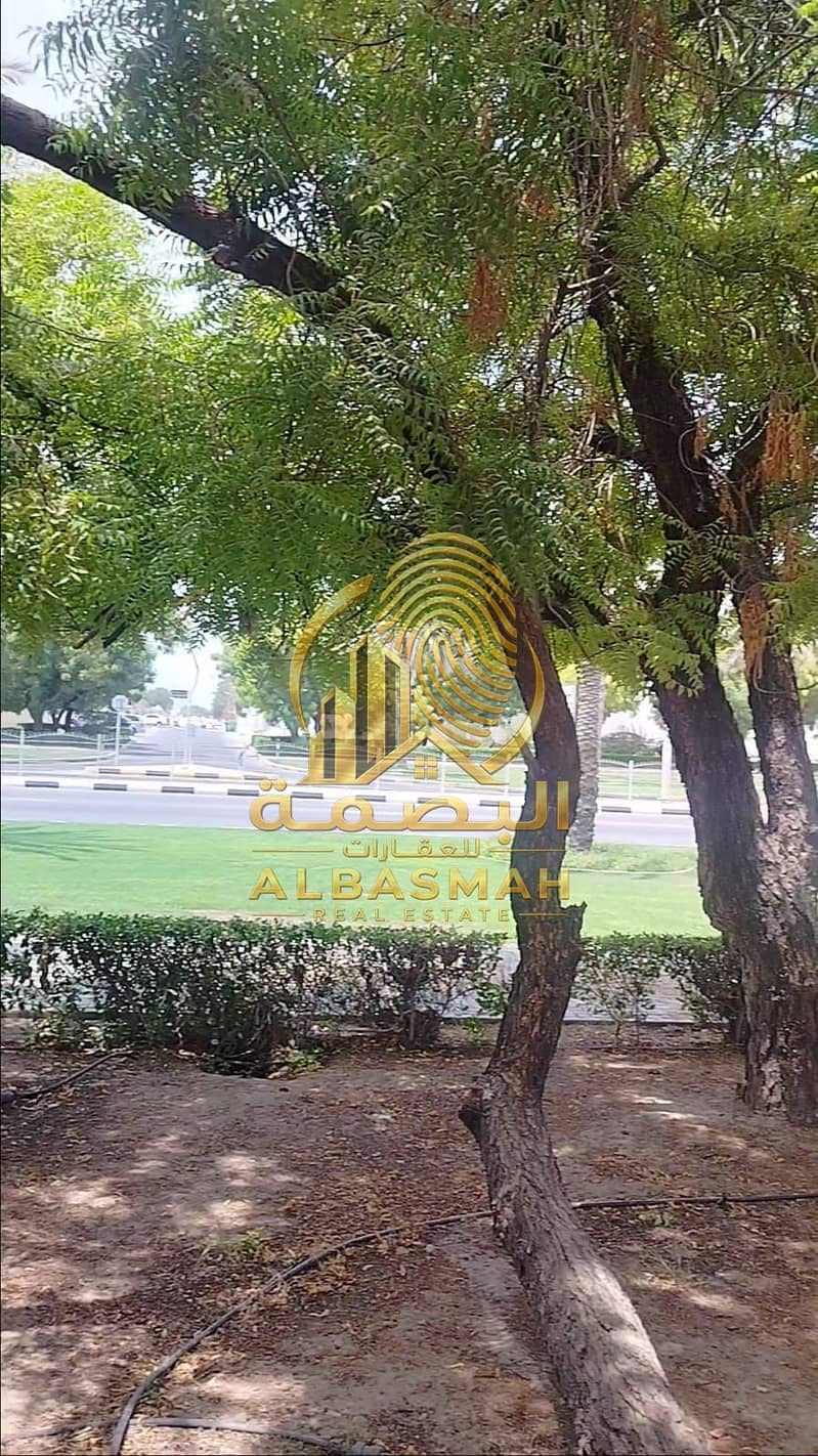 3 WhatsApp Image 2026-08-19 at 09.59. 48. jpeg