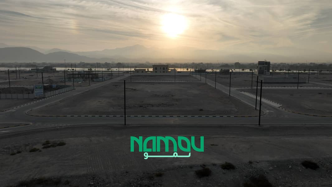 12 Image 12