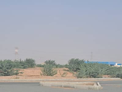 ارض تجارية  للبيع في الحمرية، الشارقة - WhatsApp Image 2026-08-29 at 1.11. 41 PM (1). jpeg