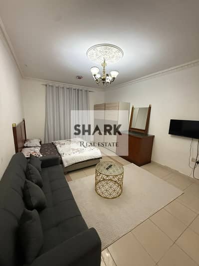 Estudio para en Alquiler en Al Rumaila, Ajman - WhatsApp Image 2026-08-29 at 3.17. 07 AM. jpeg Estudio para en Alquiler en Al Rumaila, Ajman - WhatsApp Image 2026-08-29 at 3.17. 07 AM. jpeg