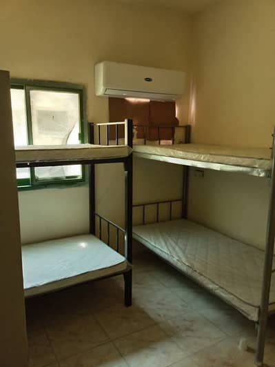 Labour Camp zum zur Miete in Ajman Industrial, Ajman - WhatsApp Image 2026-08-29 at 2.55. 05 PM (2). jpeg