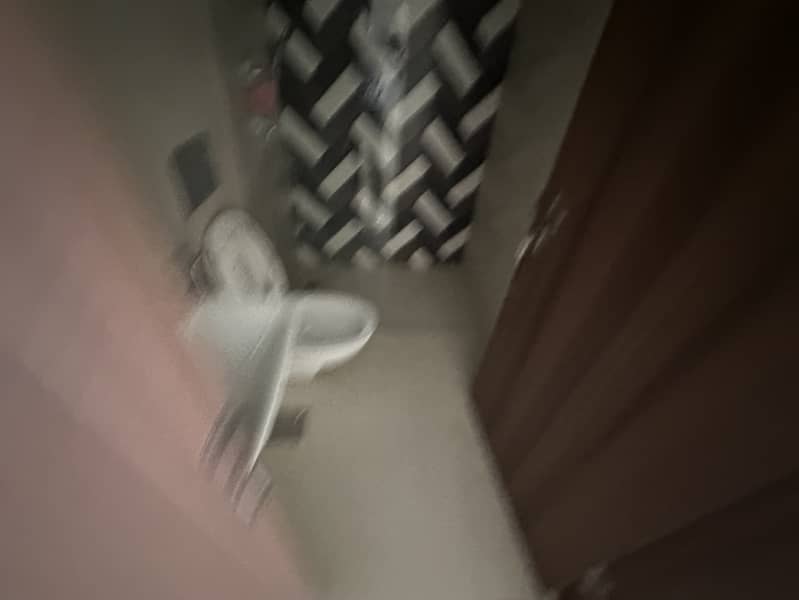 11 IMG_3971. jpeg