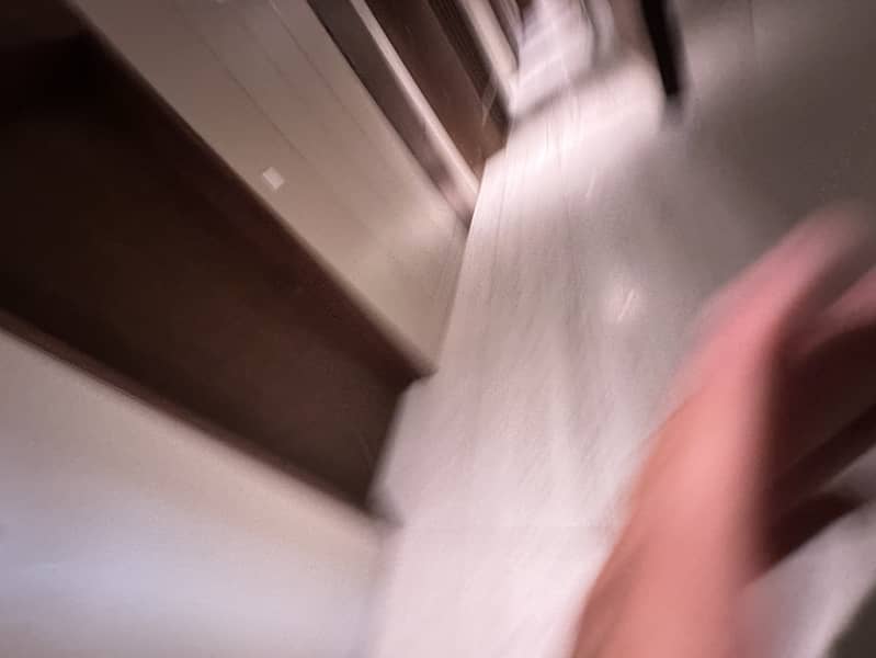 12 IMG_3973. jpeg