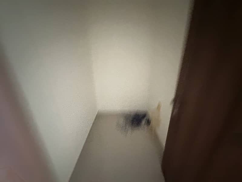 13 IMG_3972. jpeg
