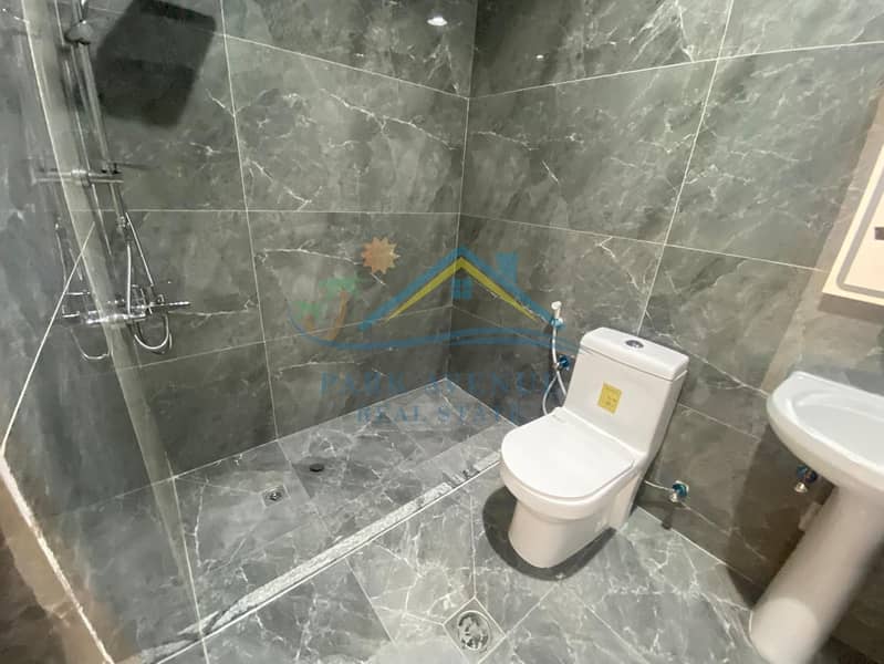 12 556393. jpg