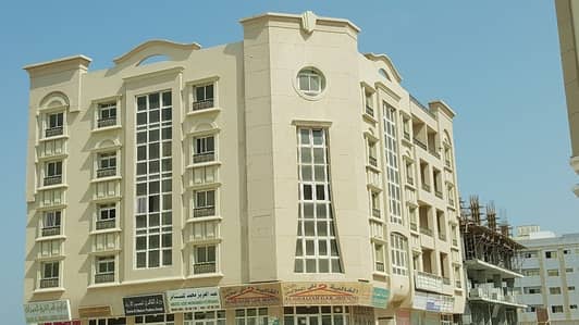 Shop Available In Al Quilaia'ah Shop Available In Al Quilaia'ah