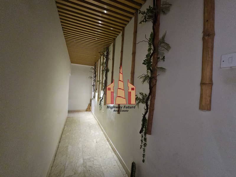 31 4716. jpg
