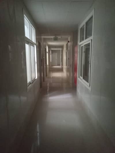 Labour Camp para en Alquiler en Umm Al Thuoob, Umm Al Quwain - WhatsApp Image 2026-08-30 at 4.04. 04 PM. jpeg