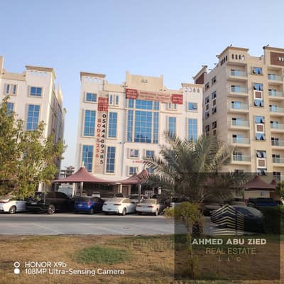 2 Bedroom Flat for Rent in Al Yasmeen, Ajman - WhatsApp Image 2026-08-24 at 12.20. 34 PM (1). jpeg 2 Bedroom Flat for Rent in Al Yasmeen, Ajman - WhatsApp Image 2026-08-24 at 12.20. 34 PM (1). jpeg