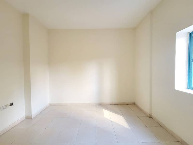 4 1000006912. jpg