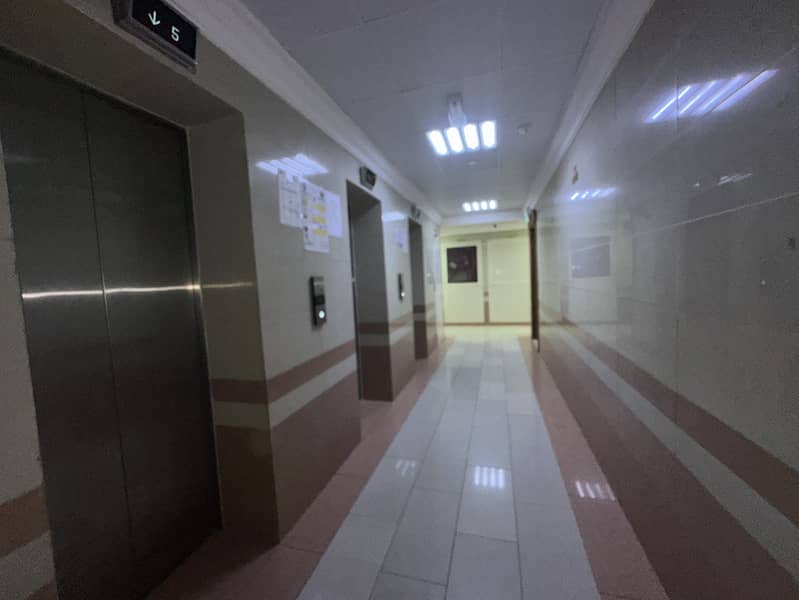 8 IMG_1462. jpeg