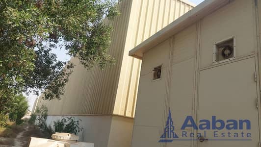 Warehouse de à à vendre à Hamriyah Free Zone, Sharjah - WhatsApp Image 2024-09-26 at 7.04. 44 PM (1). jpeg Warehouse de à à vendre à Hamriyah Free Zone, Sharjah - WhatsApp Image 2024-09-26 at 7.04. 44 PM (1). jpeg