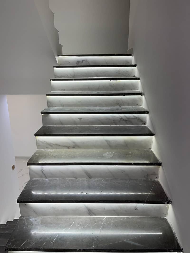 12 1000578775. jpg