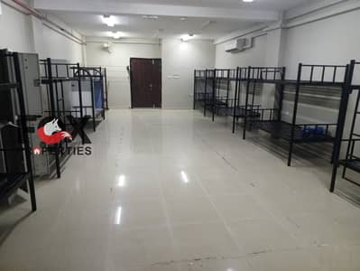 Labour Camp for Rent in Al Jurf, Ajman - WhatsApp Image 2026-08-29 at 1.25. 58 PM (5). jpeg Labour Camp for Rent in Al Jurf, Ajman - WhatsApp Image 2026-08-29 at 1.25. 58 PM (5). jpeg