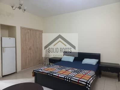 استوديو للايجار في المدينة العالمية، دبي - 289389a1-3d2e-4be5-a39b-dd253f7fcaa2. jpg استوديو للايجار في المدينة العالمية، دبي - 289389a1-3d2e-4be5-a39b-dd253f7fcaa2. jpg