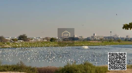 5 Bedroom Villa for Sale in Al Zorah, Ajman - WhatsApp Image 2026-08-31 at 7.21. 04 AM (1)-watermark. jpg 5 Bedroom Villa for Sale in Al Zorah, Ajman - WhatsApp Image 2026-08-31 at 7.21. 04 AM (1)-watermark. jpg