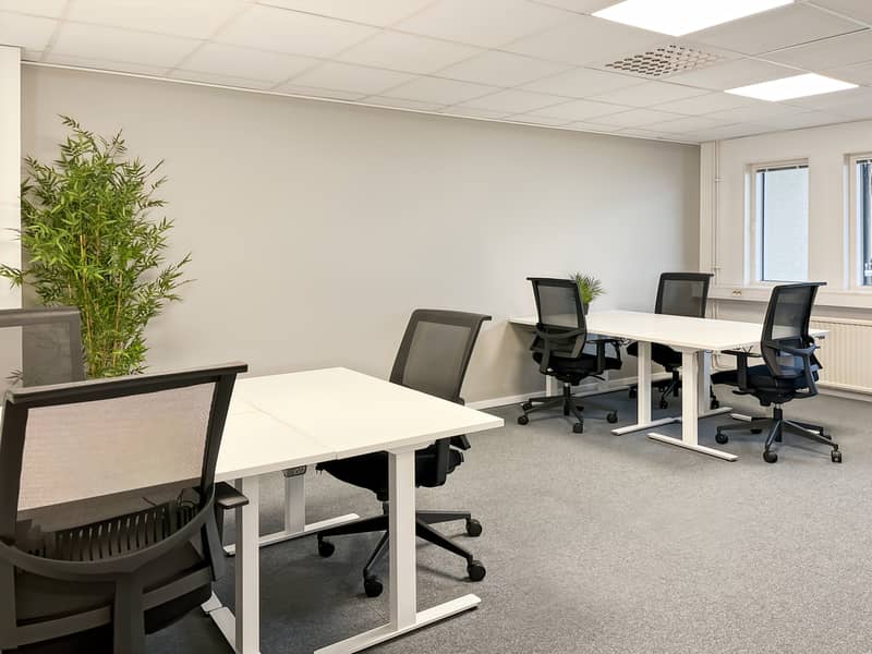10 Regus_Vänersborg, Sundsgatan_Sweden_Centre 7735_Office 5. . jpg