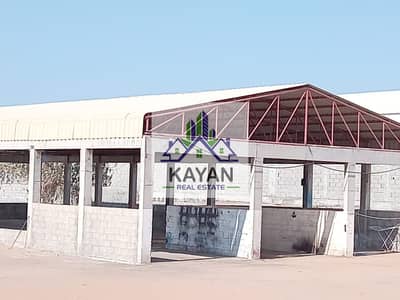 Mixed Use Land for Rent in Umm Al Thuoob, Umm Al Quwain - WhatsApp Image 2026-01-09 at 9.50. 13 AM. jpeg