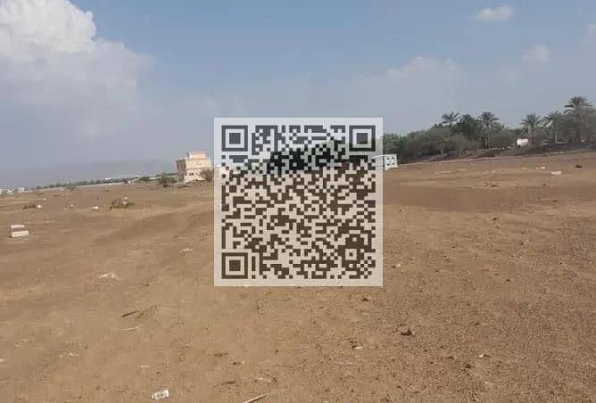 MRLPEQemqooXIfwuY7pDbt9BrPCaeV405Dm2zd1KTqhUhSqT5FdEJg_H4utqVEPYhNDgywwKw7dVBFhH_jB7D6bTJtcLuKq1yMmgl4QDh-ATqbwvdsF6eNl7brMAZn2E4dlA13B7eBwlZvJKUp-Vr8h8J-1W56tI77OOqteXGAZZAVL64pTKUeS0ZxIXRBlA. jpg MRLPEQemqooXIfwuY7pDbt9BrPCaeV405Dm2zd1KTqhUhSqT5FdEJg_H4utqVEPYhNDgywwKw7dVBFhH_jB7D6bTJtcLuKq1yMmgl4QDh-ATqbwvdsF6eNl7brMAZn2E4dlA13B7eBwlZvJKUp-Vr8h8J-1W56tI77OOqteXGAZZAVL64pTKUeS0ZxIXRBlA. jpg