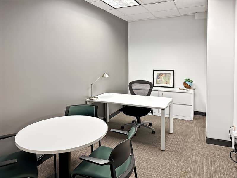 8 Regus_IL, Chicago - 401 North Michigan_USA_Centre 1071_Office 8. jpg