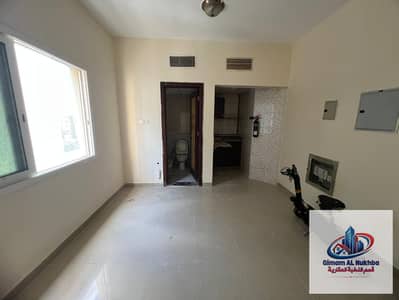 Студия в аренду в Аль Муджарра, Шарджа - WhatsApp Image 2026-09-01 at 09.54. 42 (2). jpeg