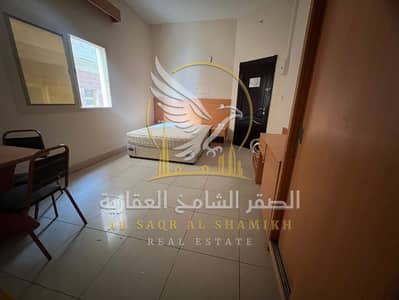 Studio de  à à louer à Bu Tina, Sharjah - WhatsApp Image 2026-08-31 at 11.47. 39 PM (1). jpeg