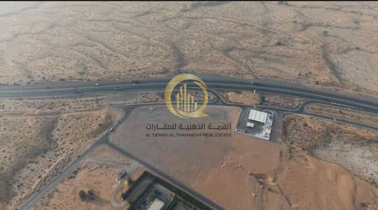 Industrial Land in vendita a Al Bataeh, Sharjah - WhatsApp Image 2026-09-01 at 4.18. 03 AM. jpeg Industrial Land in vendita a Al Bataeh, Sharjah - WhatsApp Image 2026-09-01 at 4.18. 03 AM. jpeg