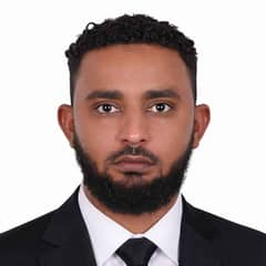 Alaeldin Nagib Ahmed Alaeldin Nagib Ahmed