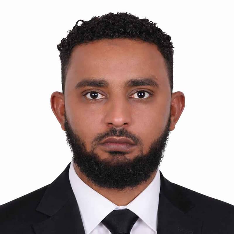 Alaeldin Nagib Ahmed Alaeldin Nagib Ahmed